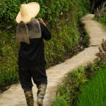 uma pessoa andando com uma enxada nas costas num caminho de terra. ásia é parte de (pop)ulares por Ca Mila.