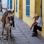 uma pessoa sentada em uma porta em frente a um animal. américa é parte da série (pop)ulares por Ca Mila