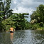 uma pessoa andando de canoa rodeada por árvores. áfrica é parte da série (pop)ulares por Ca Mila