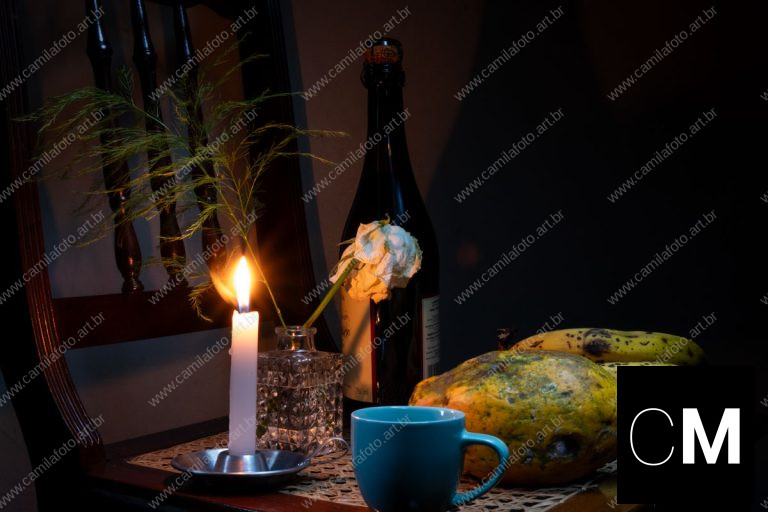 uma cadeira, uma vela, uma garrafa, uma xícara, um mamão, um cacho de bananas, uma rosa, um galho com folhas. natureza morta é parte de outras estórias por Ca Mila