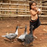 uma pessoa comendo arroz com animais por perto. 1,2,3 e... é parte da série emoções por Ca Mila