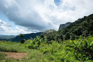 vegetação e montanha ao fundo. 163 km é parte da série outras estórias por Ca Mila