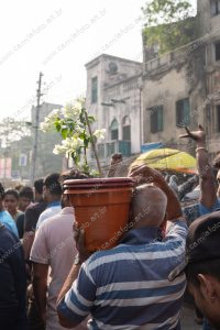 uma pessoa carregando um vaso. dia de feira é parte de outras estórias por Ca Mila