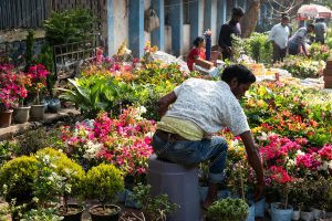 um vendedor de rua e seus produtos. dia de feira é parte de outras estórias por Ca Mila