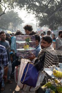 vendedores de rua e seus produtos. dia de feira é parte de outras estórias por Ca Mila