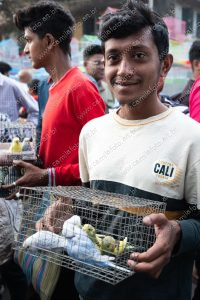 uma pessoa com uma gaiola com pássaros. dia de feira é parte de outras estórias por Ca Mila