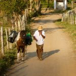 pessoa andando com um animal numa estrada de terra. serenidade é parte de emoções por Ca Mila