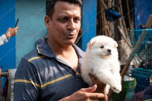 uma pessoa segurando um cachorro. vida de cachorro é parte de outras estórias por Ca Mila