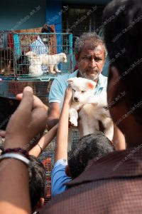 um vendedor entregando um cachorro para a multidão. vida de cachorro é parte de outras estórias por Ca Mila