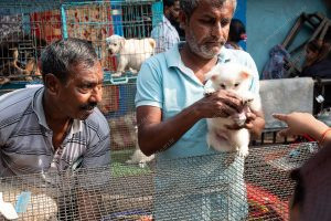 um vendedor contando algumas notas de dinheiro. vida de cachorro é parte de outras estórias por Ca Mila