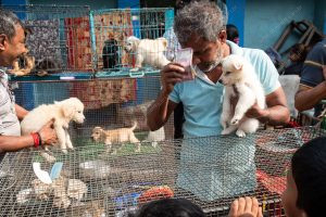um vendedor tocando a cabeça com algumas notas de dinheiro. vida de cachorro é parte de outras estórias por Ca Mila