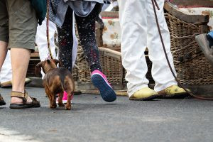 pessoas e um cachorro andando na rua. vida de cachorro é parte de outras estórias por Ca Mila