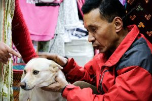 um cachorro e uma pessoa interagindo. vida de cachorro é parte de outras estórias por Ca Mila