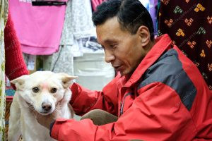 uma pessoa e um cachorro interagindo. vida de cachorro é parte de outras estórias por Ca Mila