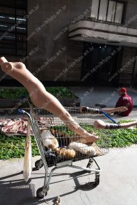 um carrinho de supermercado, um manequim e alguns cachorros. vida de cachorro é parte de outras estórias por Ca Mila