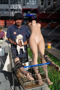 uma pessoa posando para a foto com um carrinho de supermercado, um manequim e alguns cachorros. vida de cachorro é parte de outras estórias por Ca Mila