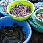 produtos para venda em bacias. peixe é parte de outras estórias por Ca Mila
