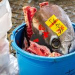 restos de peixe num balde. peixe é parte de outras estórias por Ca Mila