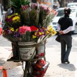 flores numa bicicleta. rua é parte de outras estórias por Ca Mila