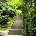 escadaria e vegetação. rua é parte de outras estórias por Ca Mila